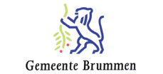 Logo Gemeente Brummen