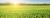 Grow Campus - 's-Hertogenbosch