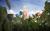 West-Brabant Biobased planten