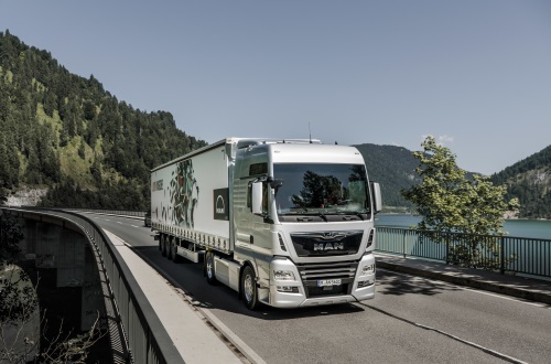 Roordink bedrijfswagens MAN TGX