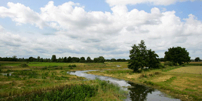 Gemeenten krijgen bijdrage voor mooier landschap