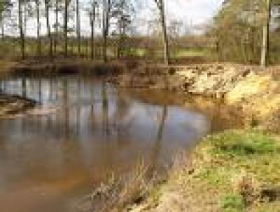 Overheden slaan handen ineen voor landbouw, natuur en water in Dinkelland