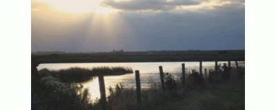 Bedrijven N-Beveland in nieuwe verbanden