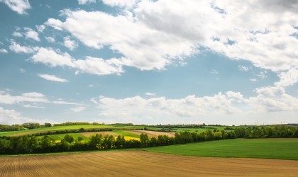 Noordoost-Brabant potentiële koploper-regio in duurzame voedselproductie