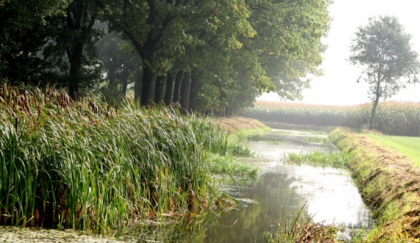 Erkenning voor Guldenberg Hotel & Brasserie als 'Natuurpoort'