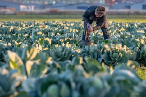 Regio Foodvalley roept ‘Den Haag’ op tot Nationaal Actieprogramma