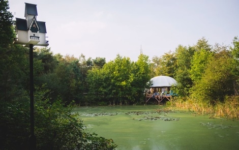 EIGENTIJDSERF: verblijf in de kracht van de natuur