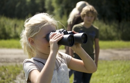 Natuurorganisatie IVN en Efteling slaan handen ineen 