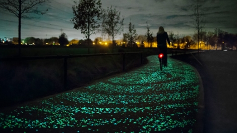 Fietsen in de sterrennacht op het Van Gogh-Roosengaarde fietspad