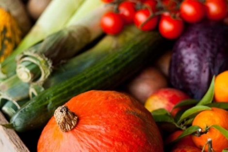 ‘Food&Businesspark is noodzakelijke aanvulling in kennisas Ede-Wageningen’