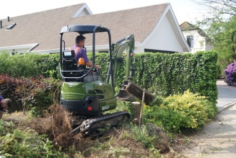 'Stagiaires met groene vingers helpen echt iets mee op te bouwen'