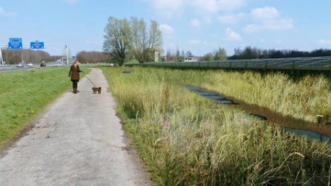 Gemeente Roosendaal krijgt zonnepark aan de A-58