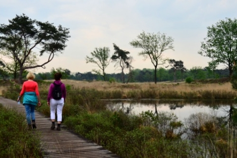 Gemeente Valkenswaard start met Park Dommelland