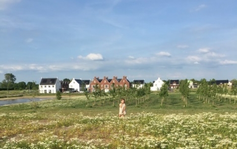 Nieuwbouwwijk Geerpark in Vlijmen maakt kans op Duurzaam Bouwen Award