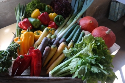 Boeren en telers werken aan een gezonde, duurzame en vitale regio