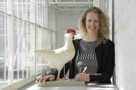 Technologie, data en dieren: een mooie combinatie op HAS Hogeschool