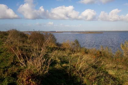 Jury verkiest NLDelta Biesbosch-Haringvliet tot mooiste natuurgebied