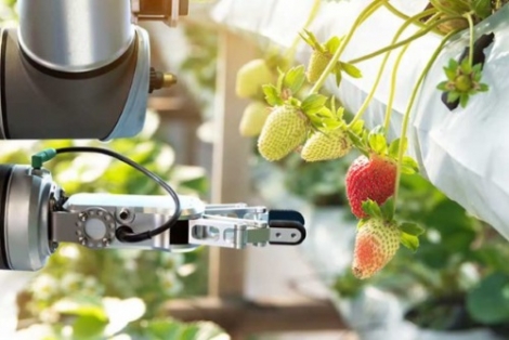 Wageningen University & Research werkt aan Internet of Food en Farm