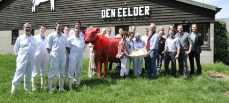 Koeierij.nl levert ruim 80 kunstkoeien aan Lely International BV