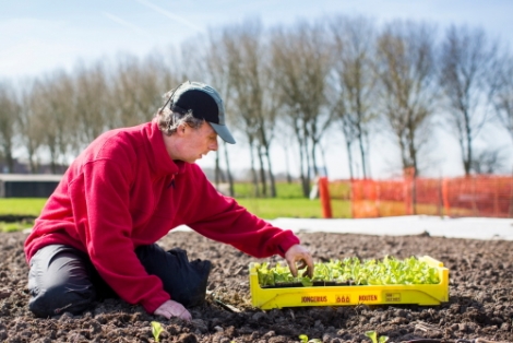 Perspectief op Werk en Aanvalsplan krapte arbeidsmarkt - de stand van zaken