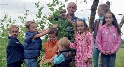 Aandacht voor agrarische sector door Oogstdankvieringen