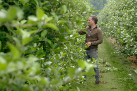 Agrofoodpluim voor Philips Fruittuin