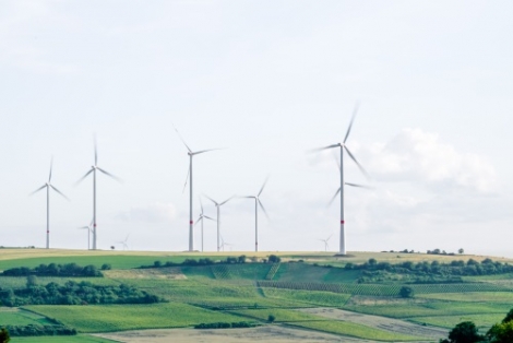 Zuidelijke provincies bundelen krachten tijdens Klimaattop Zuid