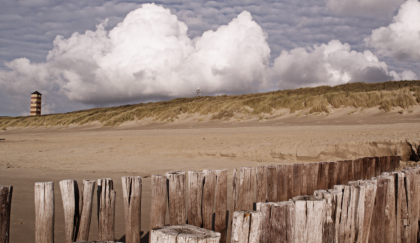 Zeven bedrijven uit Zeeland krijgen subsidie voor innovatie