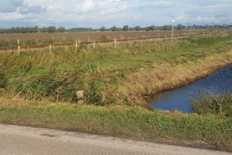 Boeren en tuinders in Drimmelen en Geertuidenberg zien koppelkansen