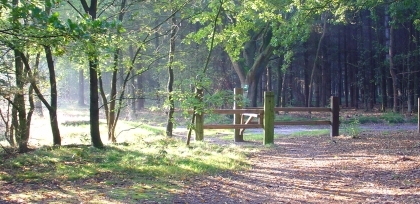 De Spreeuwelse Heide en Landgoed Huize Bergen steunen Joannes Bosco Stichting