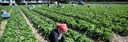 West-Brabant start met controles van huisvesting arbeidsmigranten