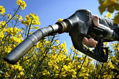 HAN heeft alternatief gevonden voor biobrandstof