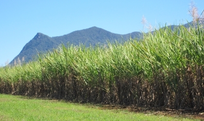 Studenten Milieukunde doen via Living Lab Biobased Brazil onderzoek naar afvalwater