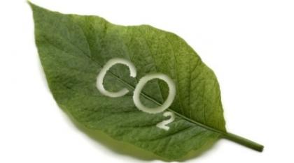 Saan start deelname CO2-prestatieladder