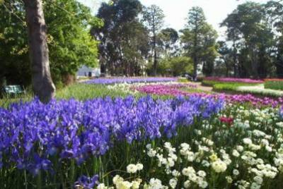 Komt Floriade 2022 naar Zuidwest-Nederland?