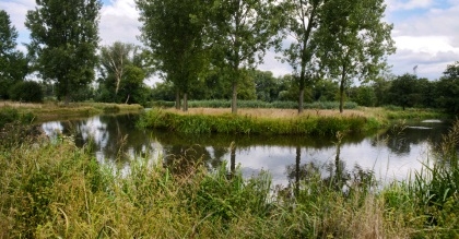 Overheden investeren in groen en recreatie in Ruit van Eindhoven