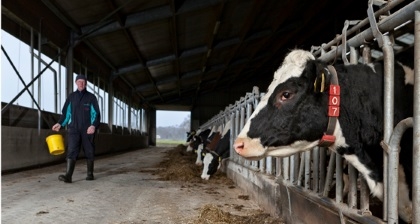 ZLTO voert druk op in kwestie stormschade