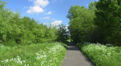 Taskforce samenwerking Brabants bedrijfsleven en natuur