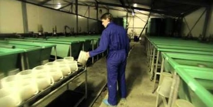 Biobased Brabant Fonds investeert in Protix Biosystems B.V.