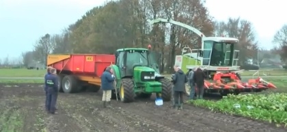 Van bietenblad tot hamburger