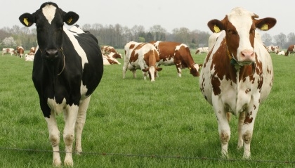 Brabant Water aanwezig op de LIV 2015 