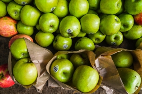 Stadse voedselproductie in schijnwerpers bij Food and the City