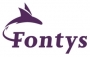 Profiel Fontys