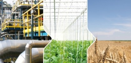 Biobased Economy & Food